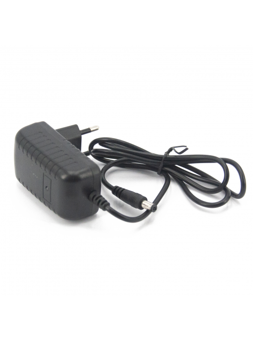 Зарядное устройство RR 12V 1000 mAh для электромобилей - XB-C1210