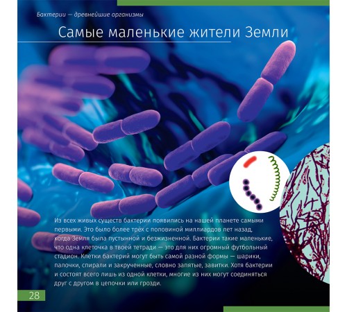 Книга знаний «Невидимый мир» Книга знаний «Невидимый мир»