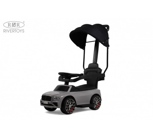 Детский толокар-каталка с козырьком Bentley Z005ZZ-TP серый