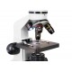 Микроскоп Levenhuk Rainbow D2L, 0,3 Мпикс, Moonstone\Лунный камень