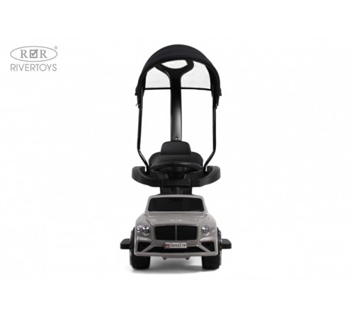 Детский толокар-каталка с козырьком Bentley Z005ZZ-TP серый