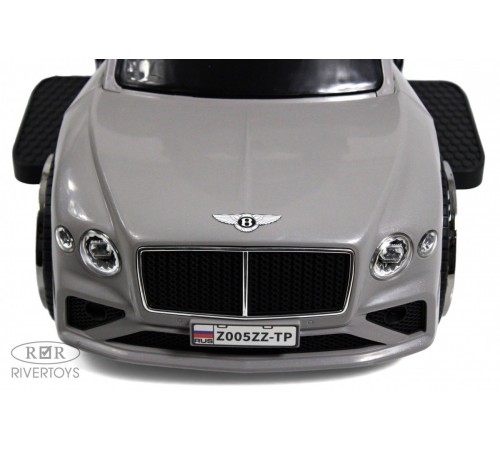 Детский толокар-каталка с козырьком Bentley Z005ZZ-TP серый