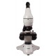 Микроскоп Levenhuk Rainbow D50L PLUS, 1,3 Мпикс