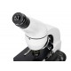 Микроскоп Levenhuk Rainbow D50L PLUS, 2 Мпикс, Moonstone\Лунный камень