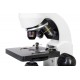Микроскоп Levenhuk Rainbow D50L PLUS, 2 Мпикс, Moonstone\Лунный камень