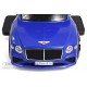 Детский толокар-каталка с козырьком Bentley Z005ZZ-TP синий