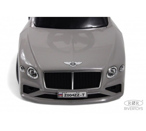 Детский толокар Z004ZZ-T серый