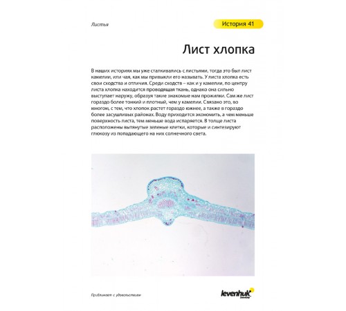 Набор микропрепаратов Levenhuk N80 NG «Увидеть все!» Набор микропрепаратов Levenhuk N80 NG «Увидеть все!»