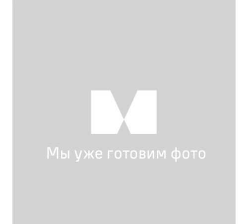 Окуляр MAGUS ESM10 10х/22 мм со шкалой стандарта ASTM E112 (D 30 мм)