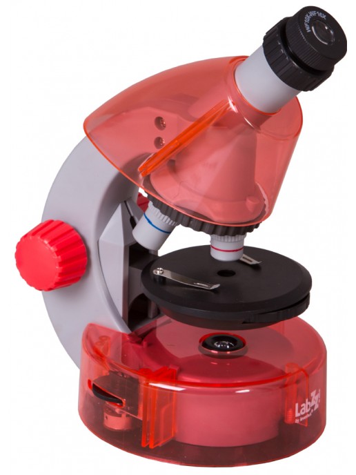 Микроскоп Levenhuk LabZZ M101