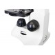 Микроскоп Levenhuk Rainbow D50L PLUS, 2 Мпикс, Moonstone\Лунный камень