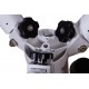 Колонна Sky-Watcher для монтировок AZ-EQ5GT