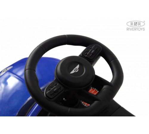 Детский толокар Z004ZZ-T синий