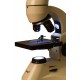Микроскоп Levenhuk Rainbow D50L PLUS, 1,3 Мпикс