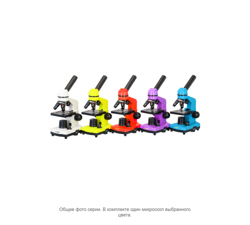 Микроскоп Levenhuk Rainbow 2L