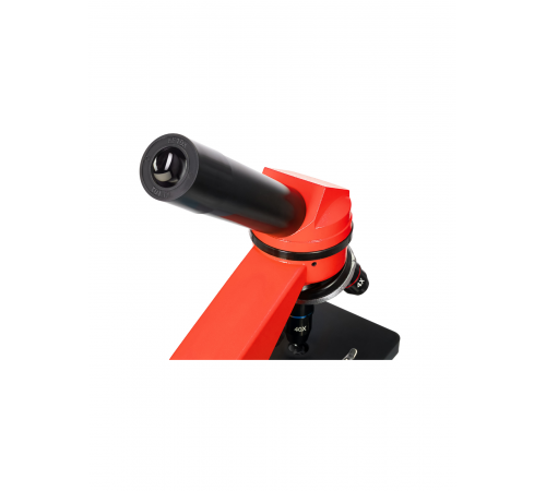 Микроскоп Levenhuk Rainbow 2L