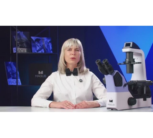 Биологические инвертированные микроскопы MAGUS Bio V360 – видеообзор