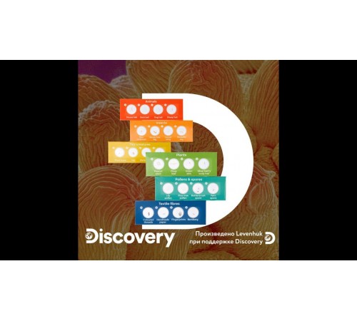 Микропрепараты Levenhuk Discovery – видеообзор