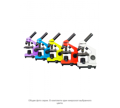 Микроскоп Levenhuk Rainbow 2L PLUS