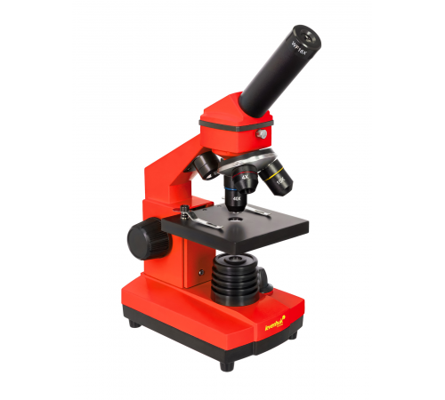 Микроскоп Levenhuk Rainbow 2L PLUS