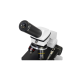 Микроскоп Levenhuk Rainbow 2L PLUS