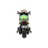 Детский электромотоцикл Kawasaki Ninja (12V, EVA, спидометр, ручка газа) - DLS07-GREEN