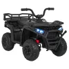 Детский электромобиль квадроцикл X-Robust (черный, 24V, 4WD, пульт, EVA) - XMX651-24V-4WD-BLACK