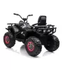 Детский квадроцикл с пультом 12V 2WD - XMX607-CARBON-PAINT