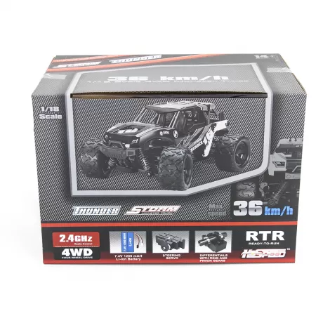 Радиоуправляемая машина Thunder Storm 4WD 1:18 - HS18301