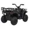 Детский электромобиль квадроцикл X-Robust (черный, 24V, 4WD, пульт, EVA) - XMX651-24V-4WD-BLACK