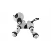 Интерактивная радиоуправляемая собака робот Smart Robot Dog Dexterity - AW-18011-BLACK