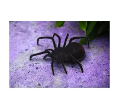 Робот паук Черная Вдова на пульте управления - 779(B0046)