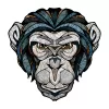 Деревянный фигурный пазл EWA Шимпанзе S (22x22 см)