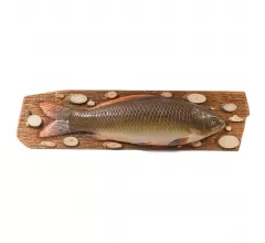 Декоративное панно на стену Сазан (Карп)  (подарок рыбаку, сувенир)